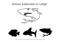 Schattenbilder-suchen2.pdf